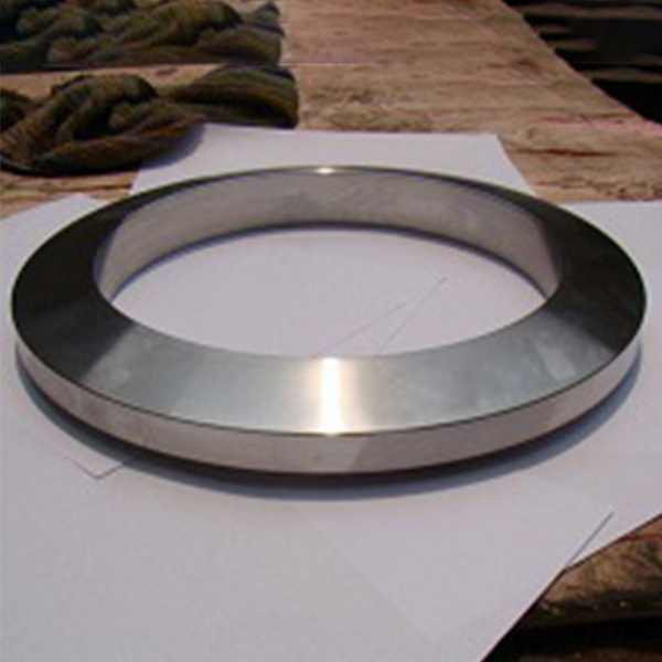 Lens Ring Joint Gasket